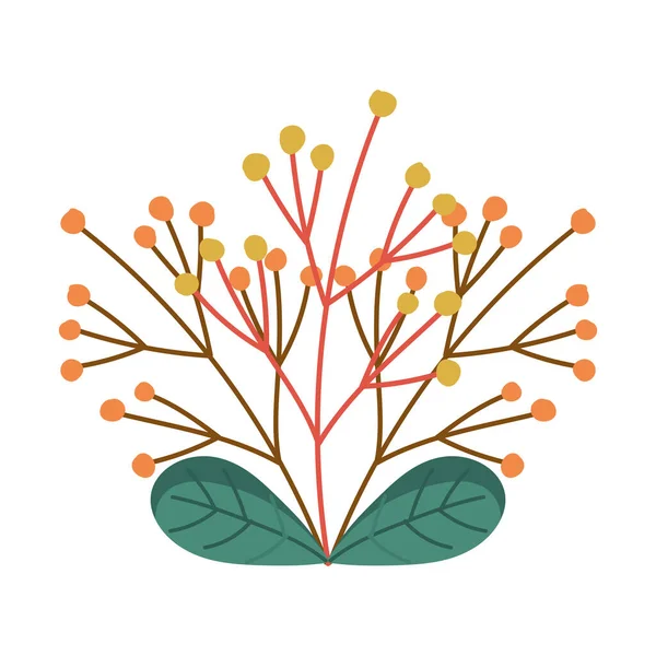 sonbahar dalı yaprakları yalıtılmış tasarım beyaz arkaplan