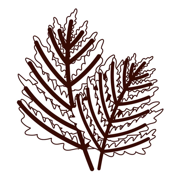 Follaje ramas hojas otoño aislado diseño blanco fondo línea estilo — Vector de stock