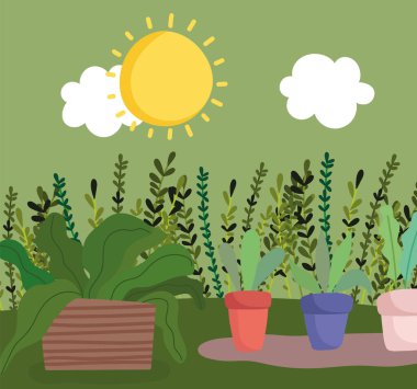 Mutlu bahçe, saksılarda bitkiler, güneş ışığı çimenler.