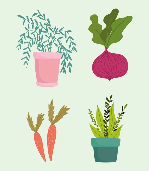 Kertészkedés, cékla cserepes növényi sárgarépa ikonok — Stock Vector
