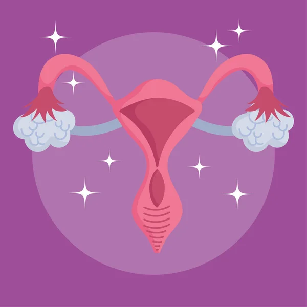 Sistema reproductor humano femenino, órgano esquema médico — Vector de stock