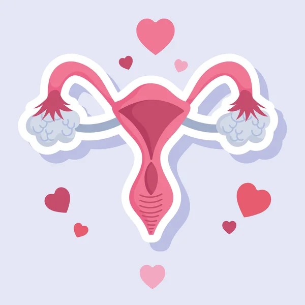 Женская репродуктивная система человека, женский орган, карточка карикатуры на сердце — стоковый вектор