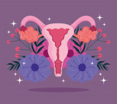 weibliches menschliches Fortpflanzungssystem, blühende menschliche Gebärmutter