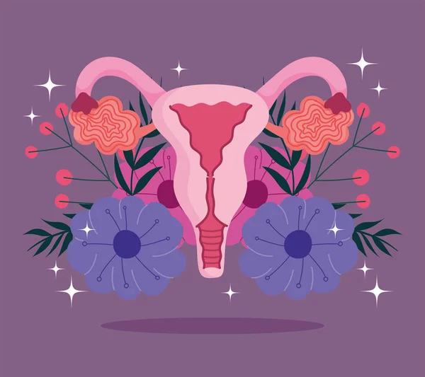 Female human reproductive system, flowering human womb — Stock Vector