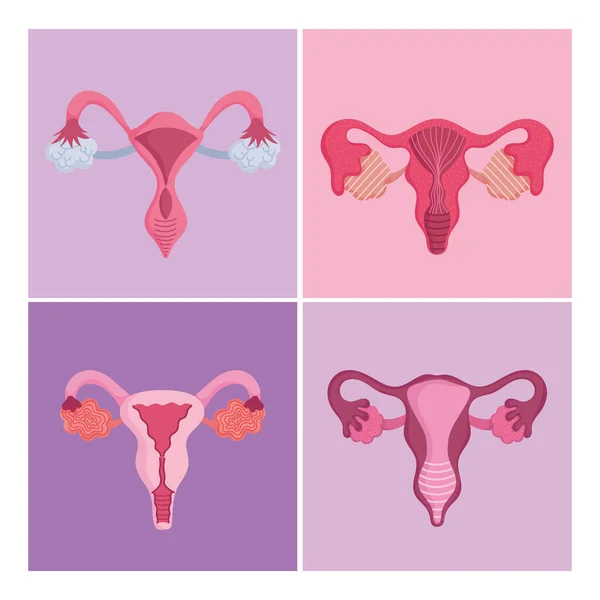 Sistema reproductor humano femenino, establecer diferentes órganos, concepto de salud de las mujeres — Vector de stock