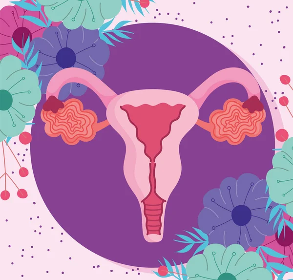 Samičí lidský reprodukční systém, děloha s listy a květy — Stockový vektor