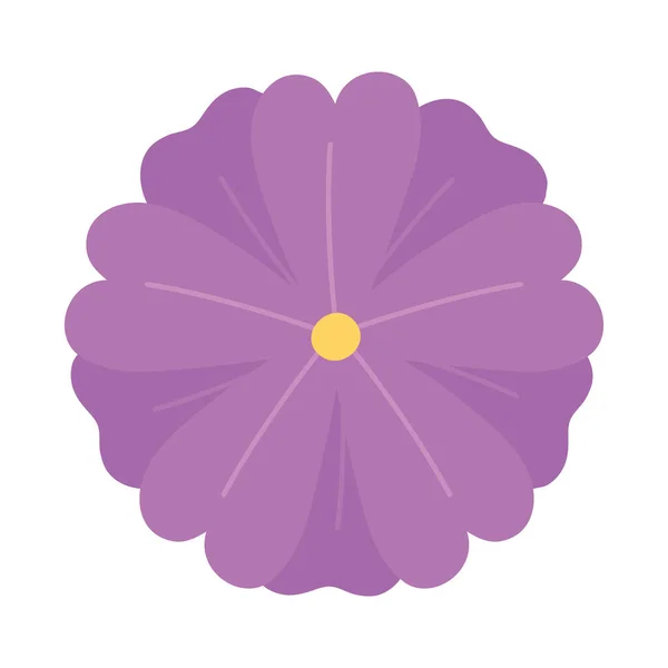 Decoración de la naturaleza de flores, icono de diseño aislado — Vector de stock