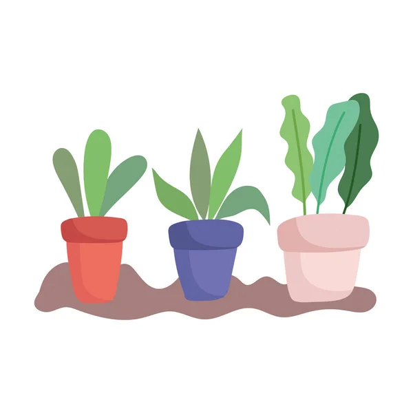 Jardinería, plantas en maceta en el suelo estilo icono aislado — Vector de stock