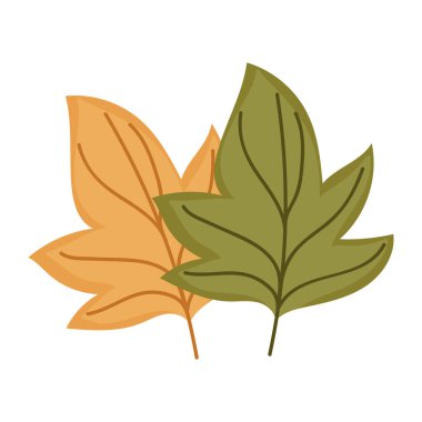 Sonbahar akçaağacı doğa izole ikon tasarımını terk eder