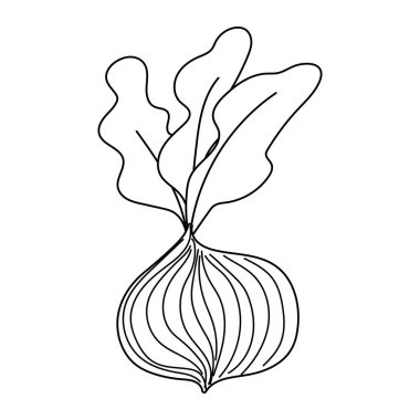 Pancar taze sebze izole çizgi simgesi biçimi