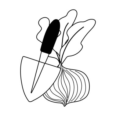 Bahçe işleri, pancar kökü ve kürek aracı izole çizgi simgesi biçimi