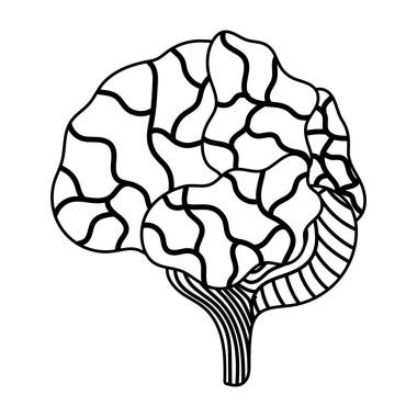 İnsan beyni parçaları organ izole edilmiş simge biçimi