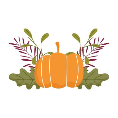 Mutlu Şükran Günleri, balkabağı yaprağı yeşillik doğa kutlaması