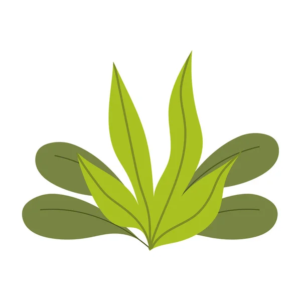 정원가꾸기, 나뭇잎 식물학적 자연의 고립 된 아이콘 스타일 — 스톡 벡터