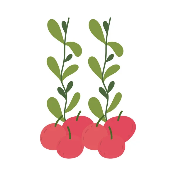 園芸、果物のリンゴと枝の葉の孤立したアイコンスタイル — ストックベクタ