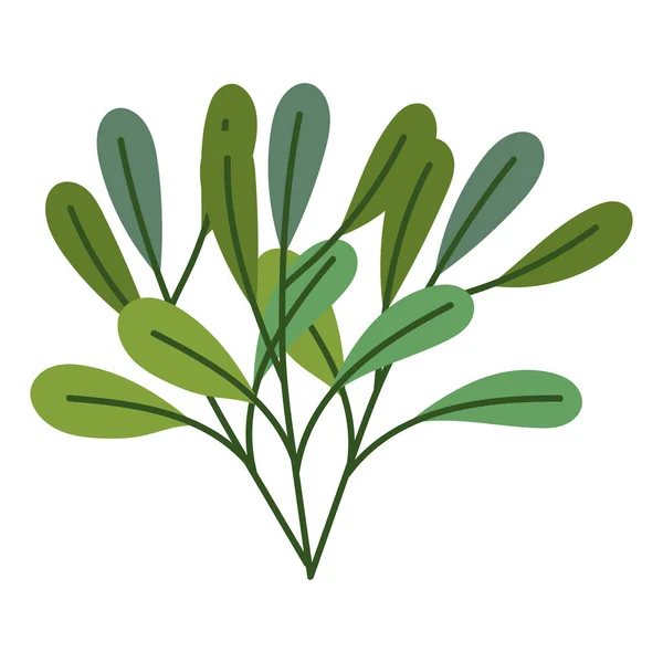 Daun hijau vegetasi alam desain ikon terisolasi - Stok Vektor