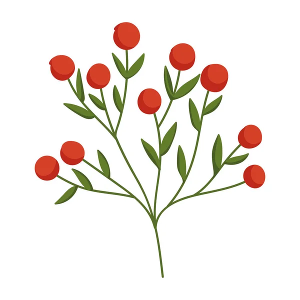 Frukter i gren träd natur isolerad ikon design — Stock vektor