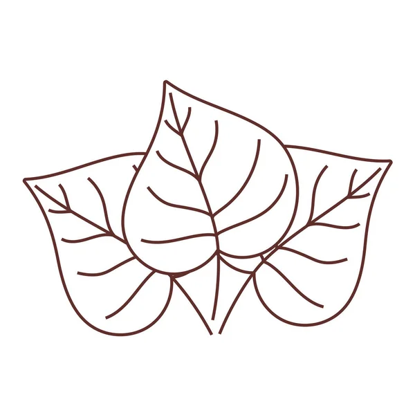 Natureza folhagem folhas decoração isolado ícone design linha estilo — Vetor de Stock