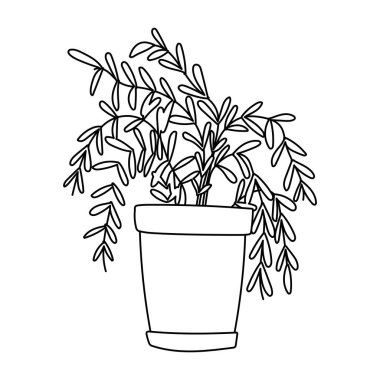 Bahçıvanlık, dal bitkileri tencere izole çizgi simgesi tarzında