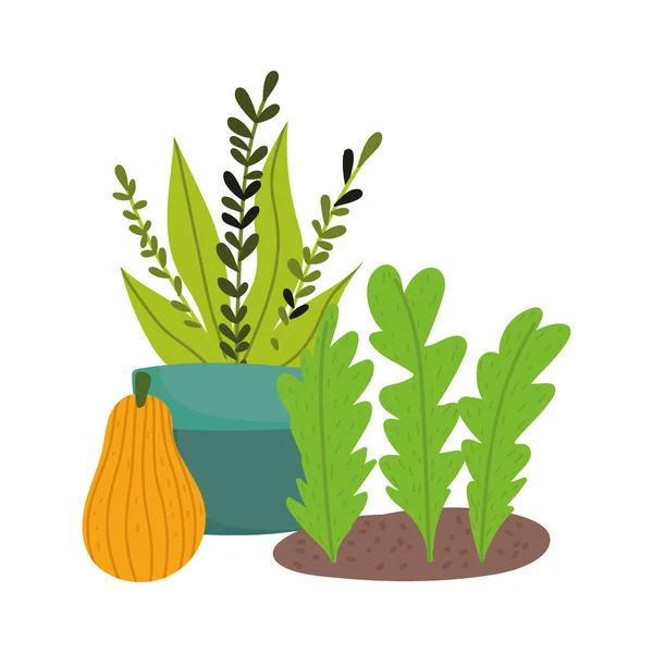 Садоводство, посадка листьев в горшках и тыква — стоковый вектор