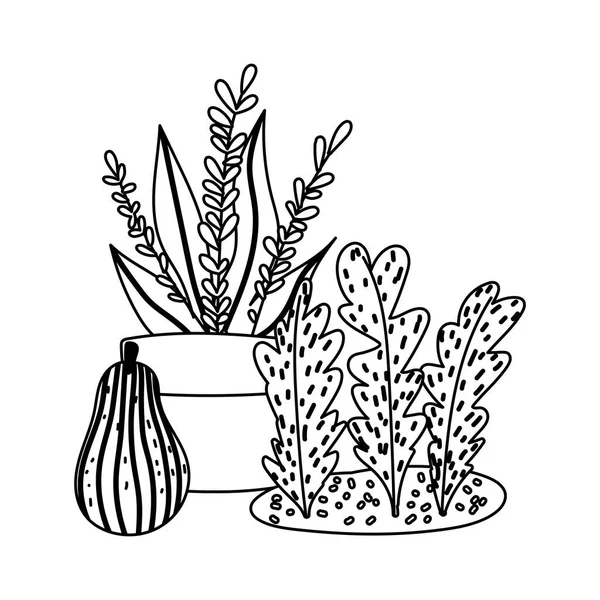 Bahçıvanlık, saksı bitkisi dikme yaprakları ve balkabağı doğası izole çizgi ikonu tarzı — Stok Vektör