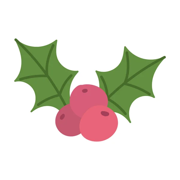 Feliz Navidad, celebración de la decoración de hojas de baya de acebo, diseño aislado — Vector de stock