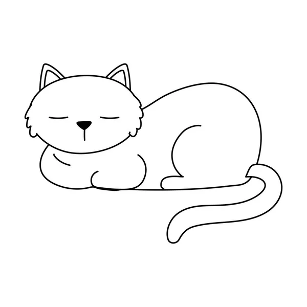 Hewan peliharaan kucing tidur mengisolasi desain latar belakang putih - Stok Vektor