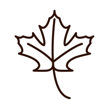 Akçaağaç yaprağı yaprakları sonbahar doğa çizgisi simgesi biçimi