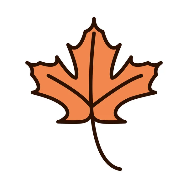 Javorový list listí podzim příroda linka výplň ikona — Stockový vektor