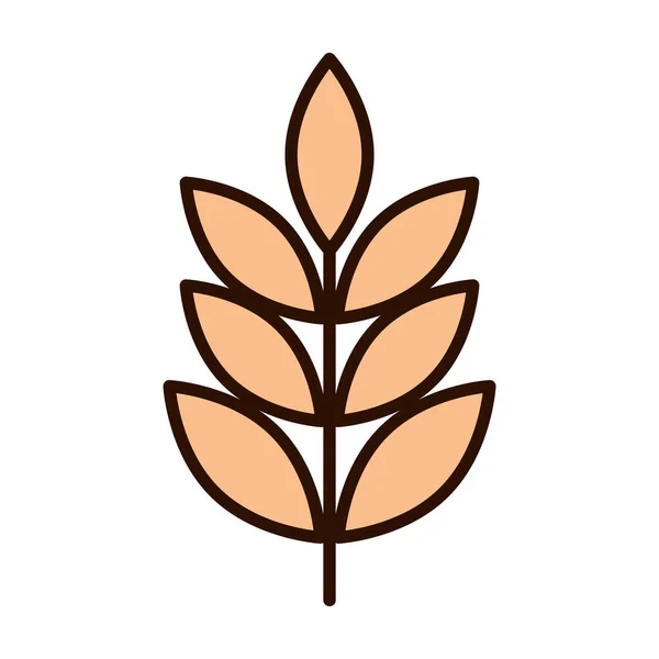 Búza gabona természet ág vonal kitöltése ikon — Stock Vector