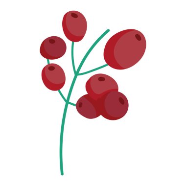 Branş kahve taneleri izole edilmiş simge biçimi