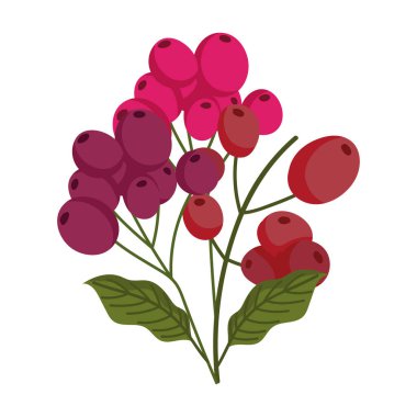 Kahve çekirdekli dal ağacı organik izole ikon tarzı