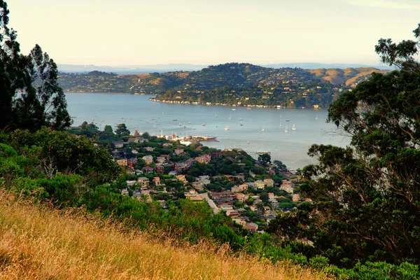 Headland Golden Gate National Recreation Area Presidio San Francisco California — Stock Photo, Image