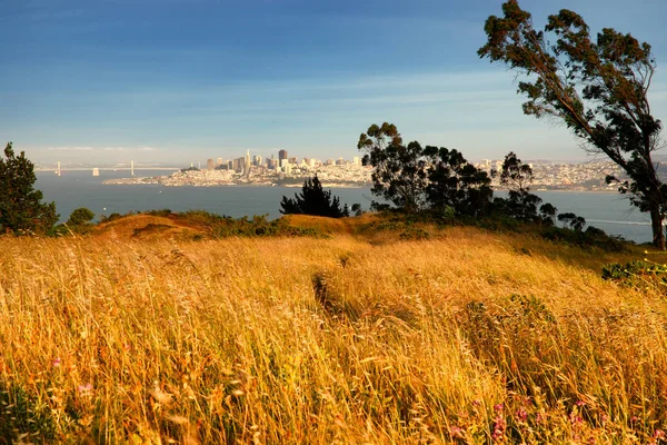 Burun Golden Gate Ulusal Rekreasyon Alanı Presidio San Francisco Kaliforniya — Stok fotoğraf