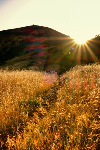 Headland Golden Gate National Recreation Área Bright Sunshine Presidio San — Foto de Stock