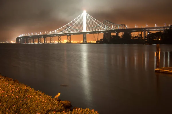 View of the Bay Bridge lit up at night, San Francisco, North Beach, California, USA