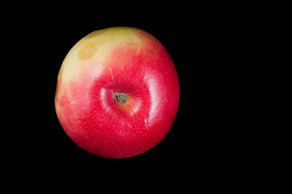 Плоды яблони на черном фоне обычные — стоковое фото