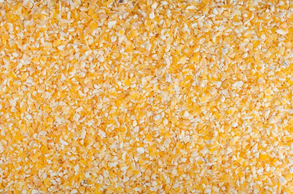 Graan van gemalen gedroogde maïs geel voor het koken PAP. — Stockfoto
