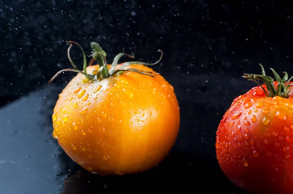 Tomates vermelhos e amarelos coloridos em uma superfície de pedra molhada em baixas — Fotografia de Stock