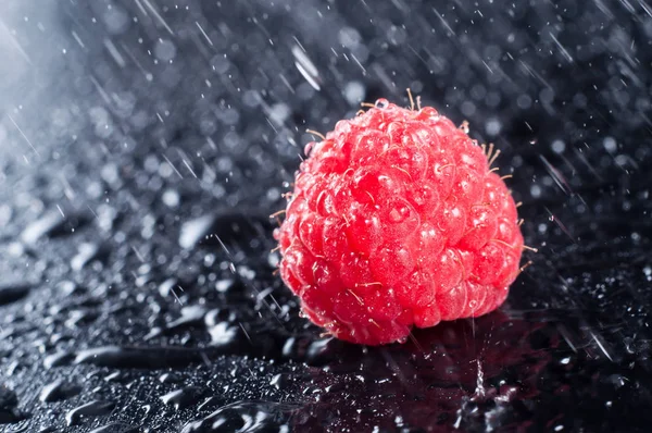Framboesa vermelha grande em um fundo preto na chuva em baixas. Mãe... — Fotografia de Stock