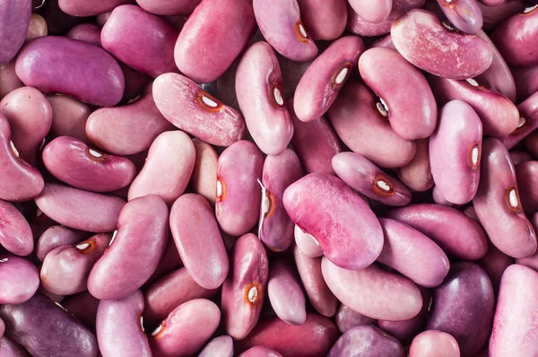 Colorful purple beans close-up. Macro shot of food.