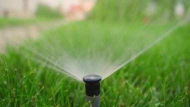 Çimenlik fıskiyesi çimenleri spreyliyor, yakın plan. Yüksek kaliteli FullHD görüntüler