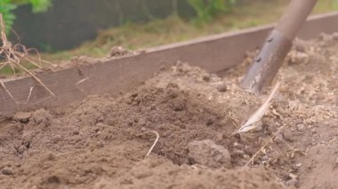 Bahçe yatağının toprağı yavaş çekimde bir kürekle çıkarılıyor. Yüksek kaliteli FullHD görüntüler