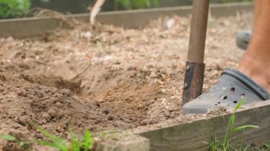 Bahçe yatağının toprağı yavaş çekimde bir kürekle çıkarılıyor. Yüksek kaliteli FullHD görüntüler
