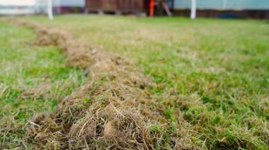 Kış üstüne kış, çimen biçme, yakın plan. Yüksek kaliteli FullHD görüntüler