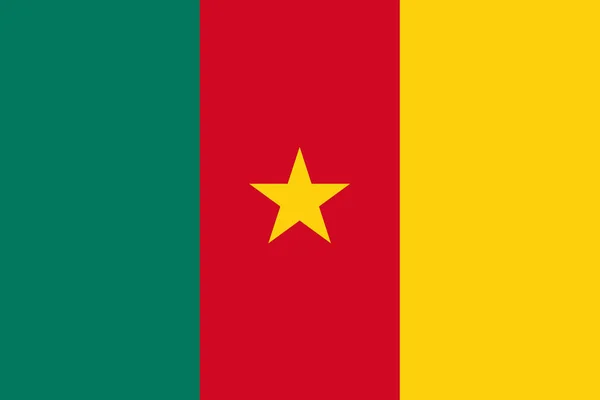 Flag Cameroon Close — Stock Photo, Image