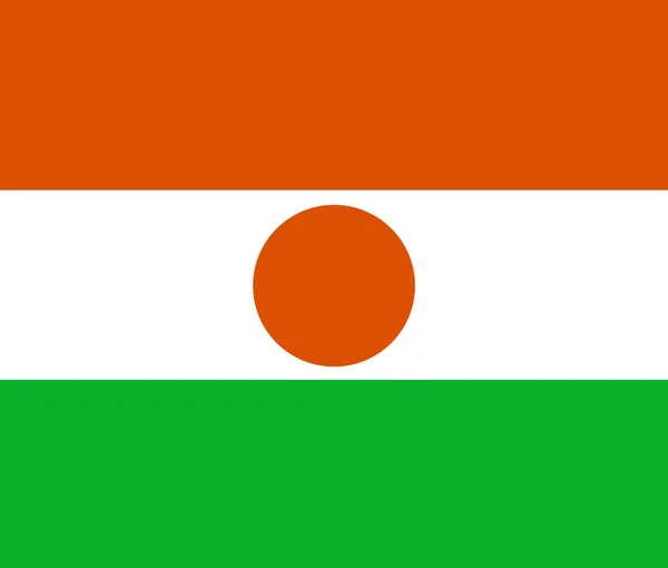 Vlag Van Niger Close — Stockfoto