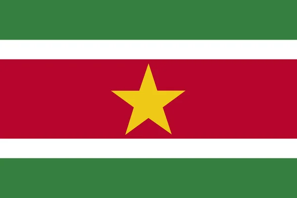 Flaga Surinamu Zbliżenie — Zdjęcie stockowe
