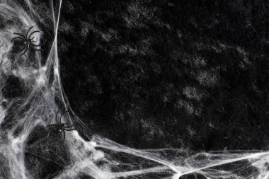 Bir örümcek ağı ve örümcek ile Halloween tatil arka plan kavramı.