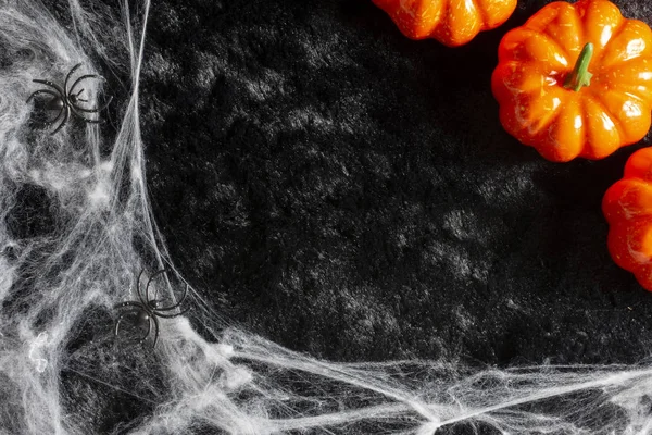 Halloween holiday background concept with pumpkin, spider web and spider . — стоковое фото